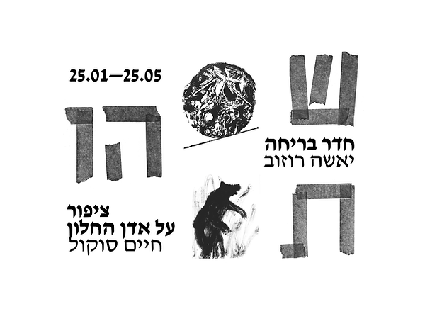 פרידה מאיר.jpg